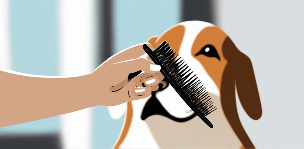 image of person brushing pet with natural bristle brush 650813546
