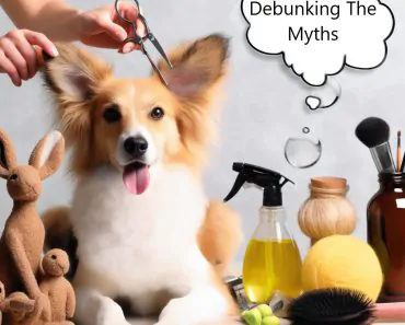 Debunking The Myths Surrounding Natural Pet Grooming And Its Effectiveness