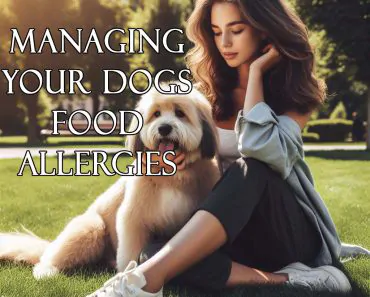 Giving Your Pup Relief: Managing Fido’s Food Allergies