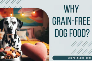 Why Grain-Free Dog Food Might Be Right for Your Furry Friend