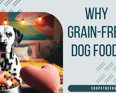 Why Grain-Free Dog Food Might Be Right for Your Furry Friend